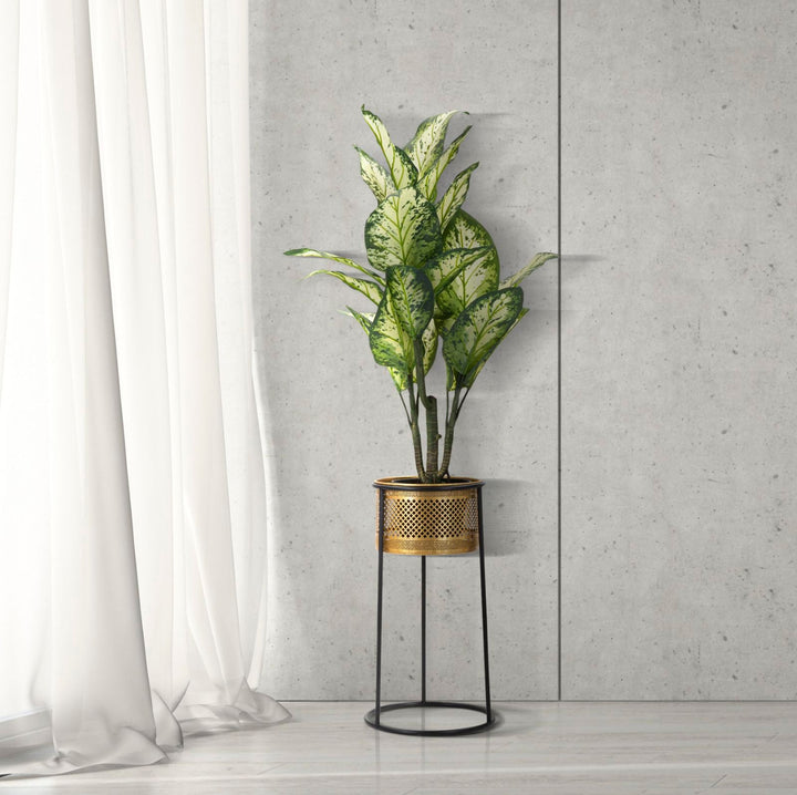 Goldener Blumentopf aus Metall mit schwarzem Rahmen