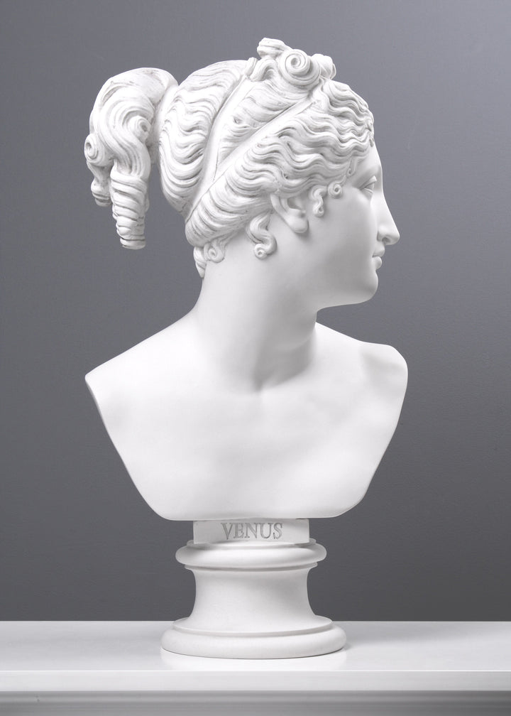 Venus Büste Göttin der Liebe (Groß)