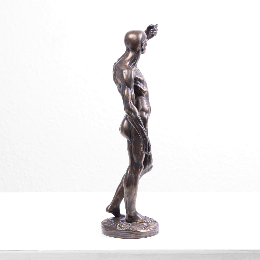 Anatomische Studie Statue (Bronzierte Skulptur aus Kunstharz von Houdon)