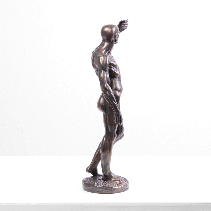Anatomische Studie Statue (Bronzierte Skulptur aus Kunstharz von Houdon)