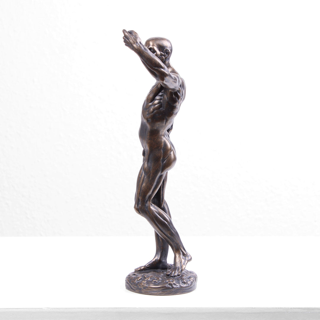 Anatomische Studie Statue (Bronzierte Skulptur aus Kunstharz von Houdon)