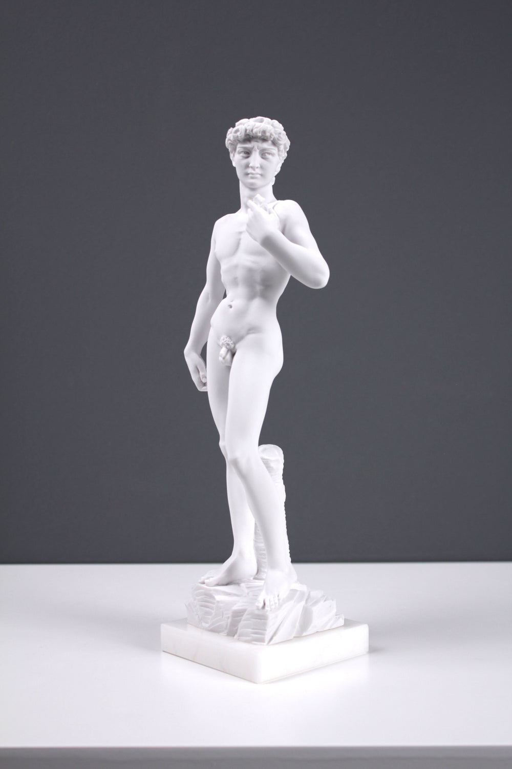 Michelangelo David Statue