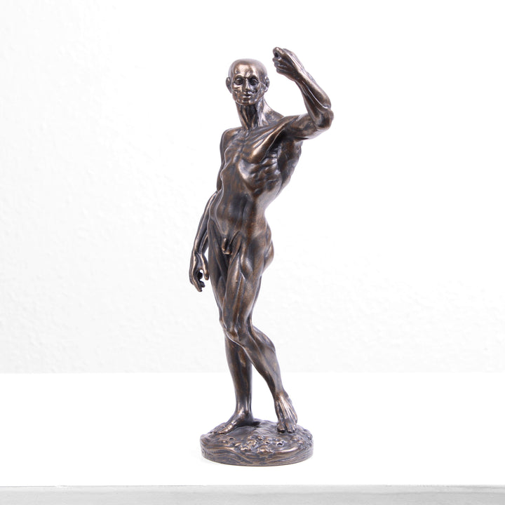 Anatomische Studie Statue (Bronzierte Skulptur aus Kunstharz von Houdon)
