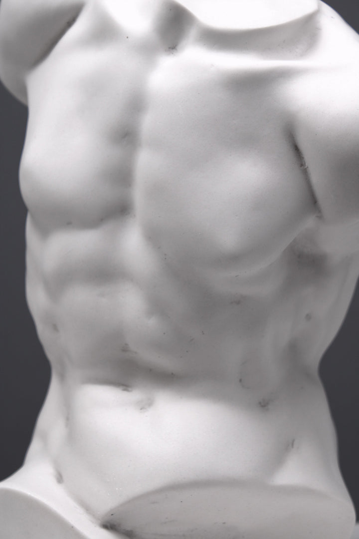 Männlicher Torso Statue (Studie)