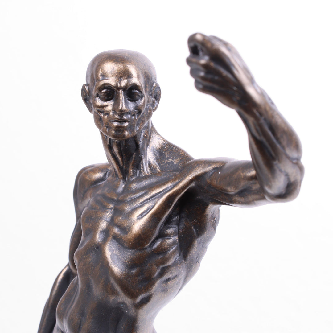 Anatomische Studie Statue (Bronzierte Skulptur aus Kunstharz von Houdon)