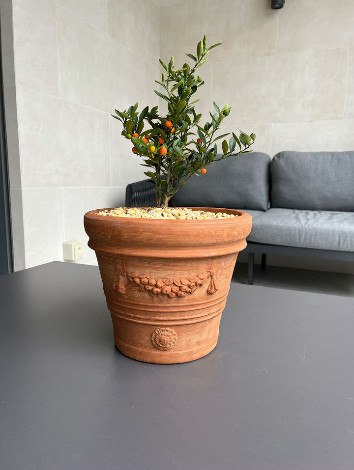 Mittlerer Terrakotta Pflanzkübel