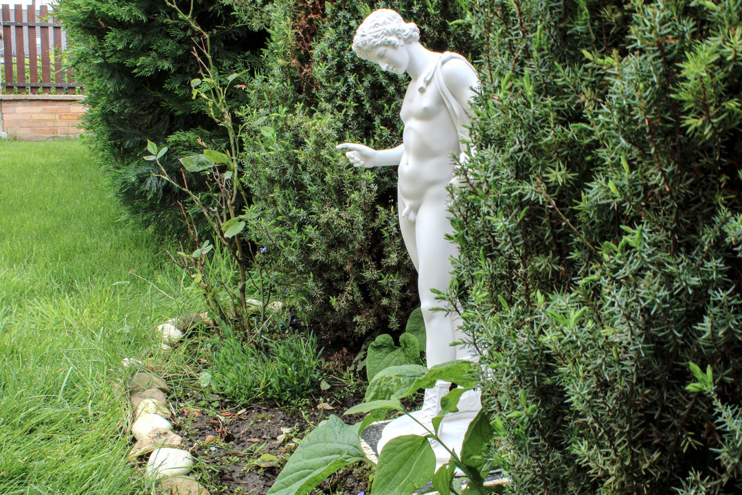 Narzissen Garten Statue