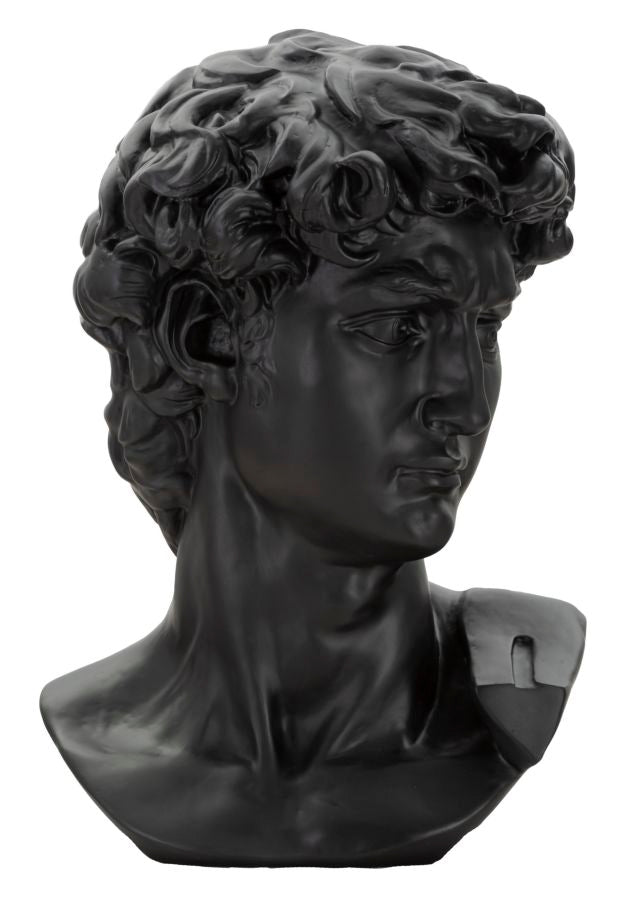 Schwarzer David Kopf Statue (Harz-Skulptur von Michelangelo)