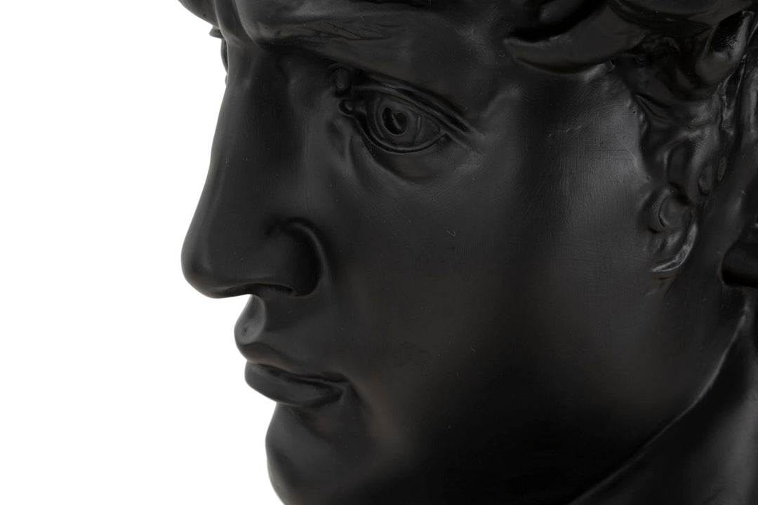 Schwarzer David Kopf Statue (Harz-Skulptur von Michelangelo)