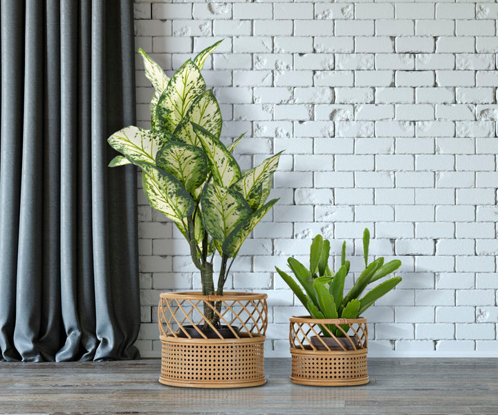 2er Set Rattan Vasenhalter Panama Deko