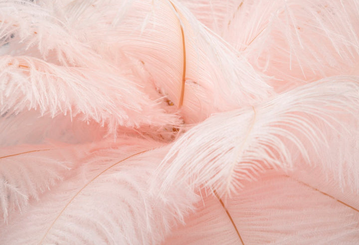 Tischlampe mit Federn in Gold und Rosa