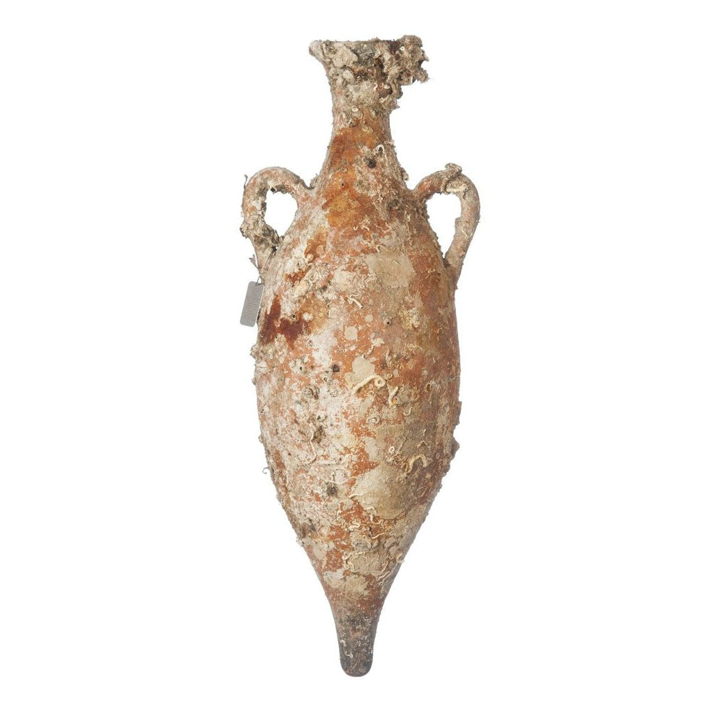 Maiorica' Antike Meeresamphore
