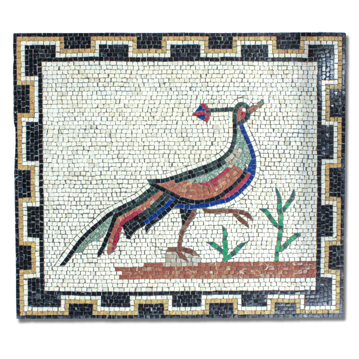 Fasan aus dem Haus der Vögel Marmor-Mosaik