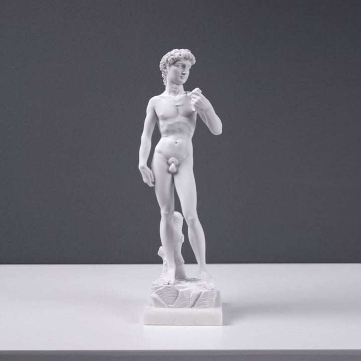 Michelangelo David Statue