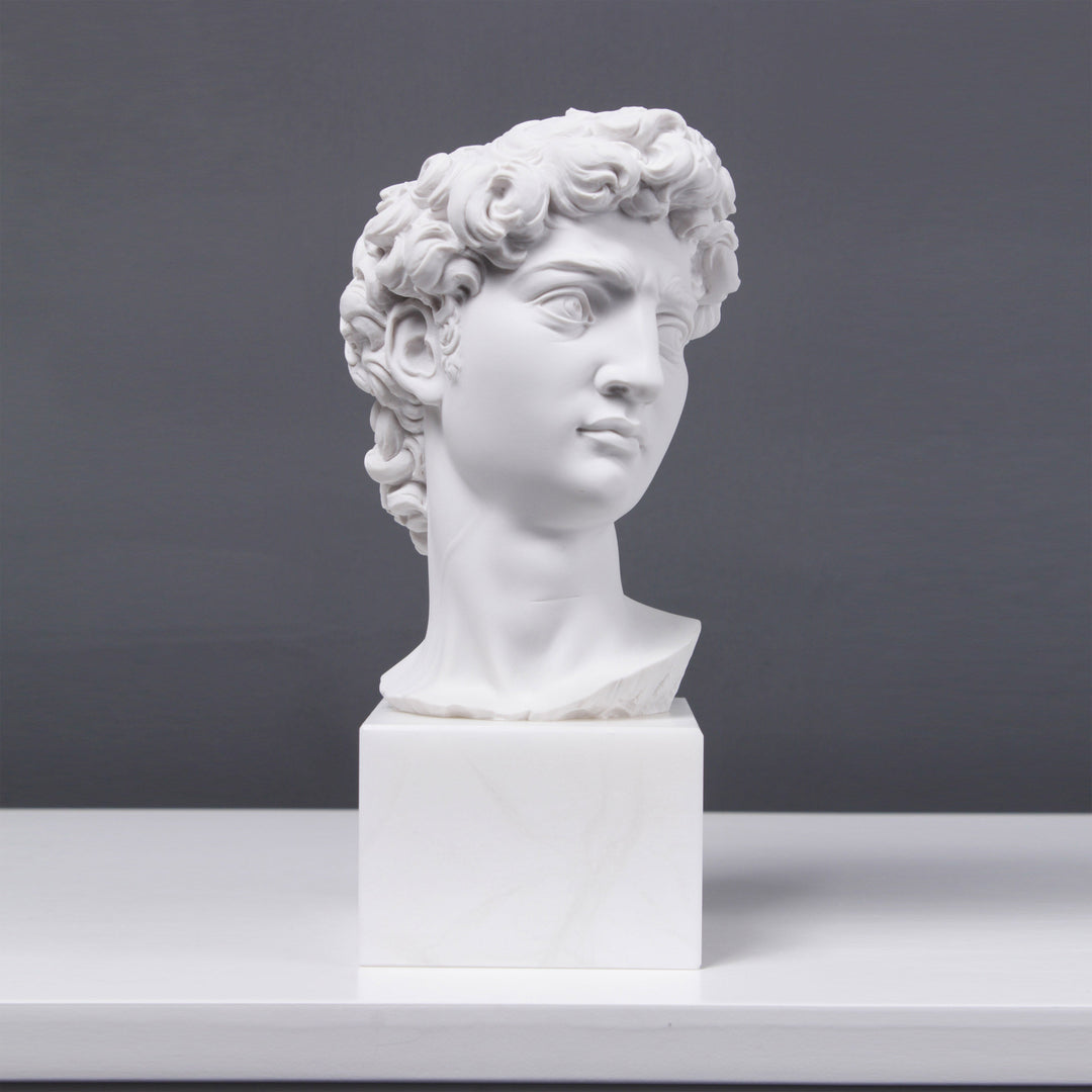 David Büste (Von Michelangelo)