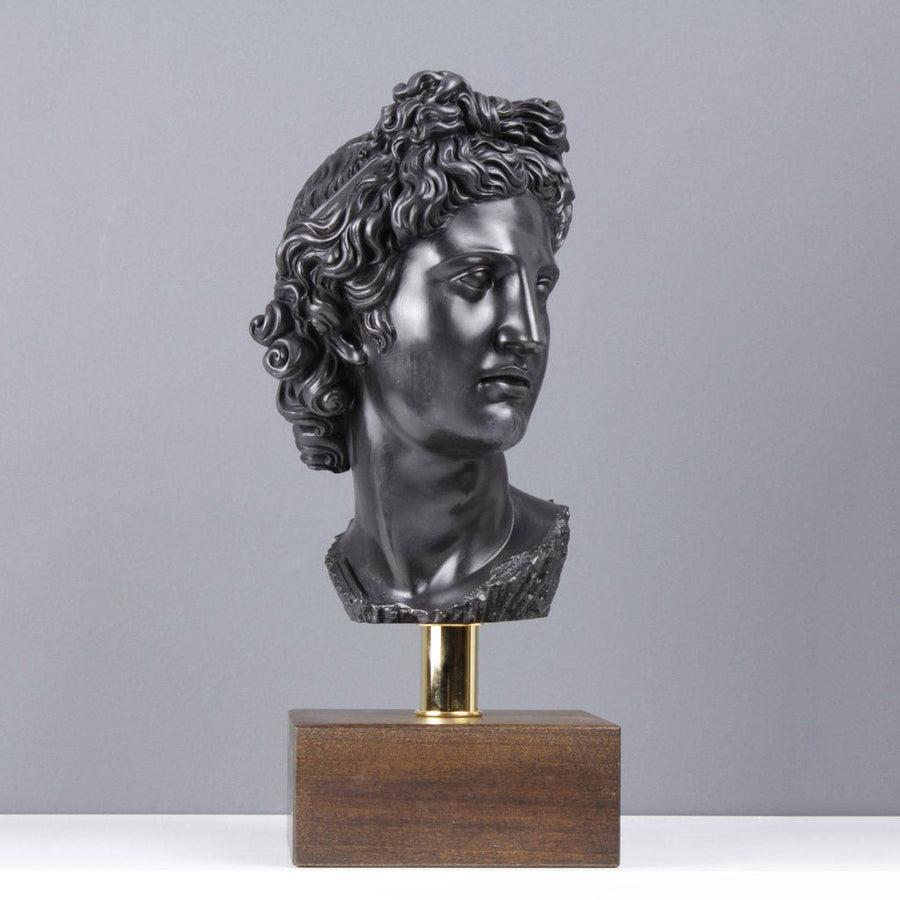 Büste des Apollon - Olympische Gott (Bronze)