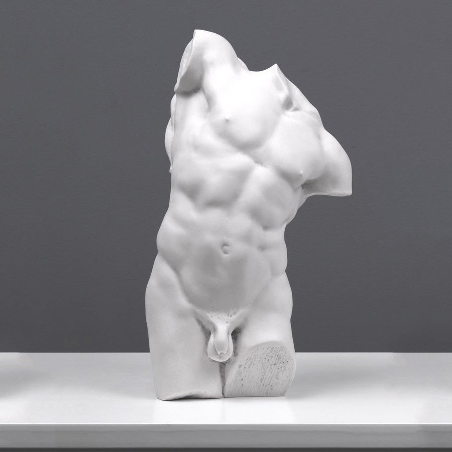 Adonis Statue Studie eines männlichen Torsos (Klein)