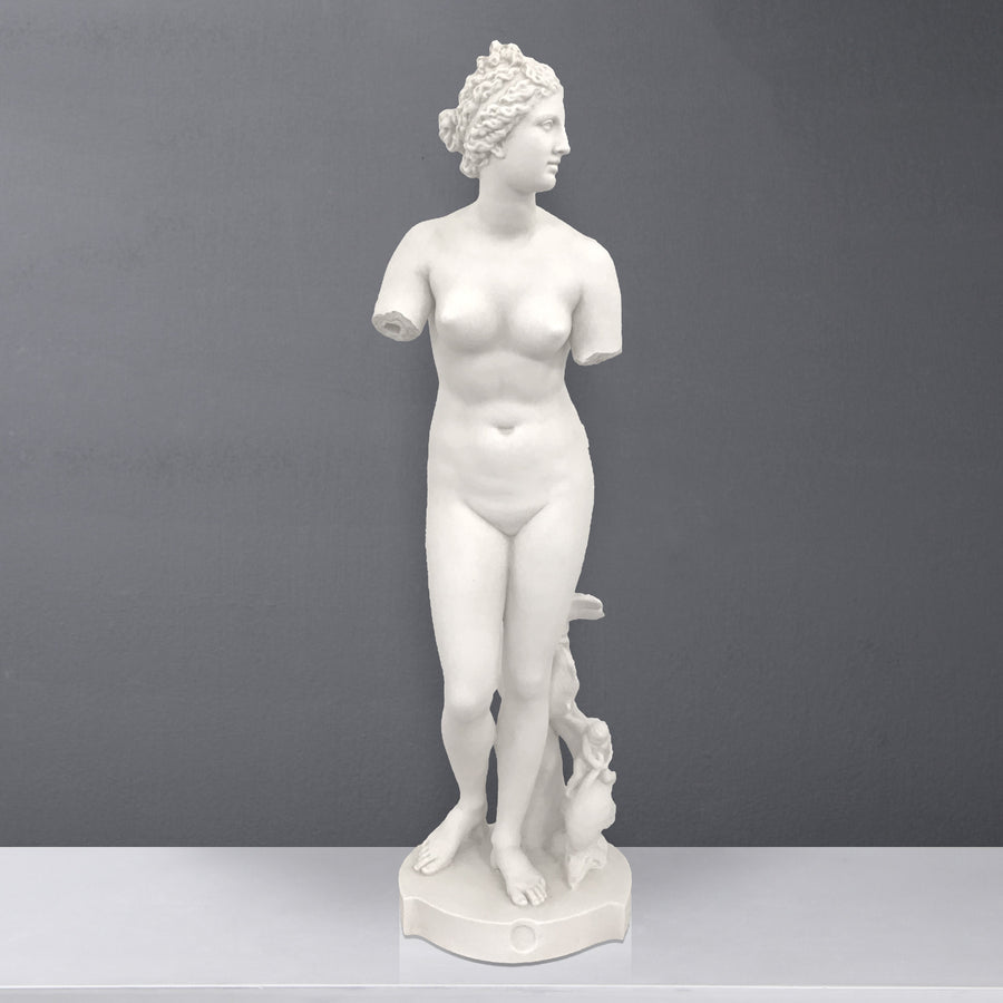 Venus de Medici Lebensgrosse Statue (Gross)