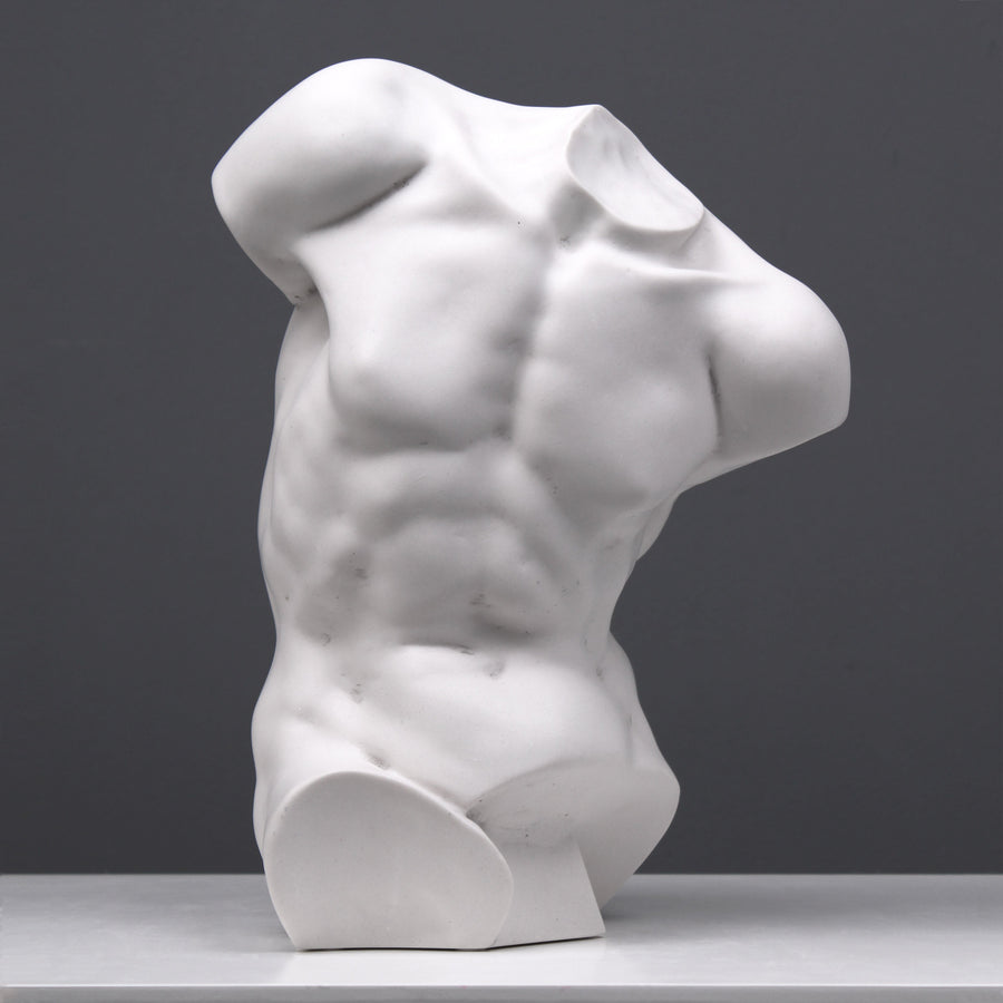 Männlicher Torso Statue (Studie)