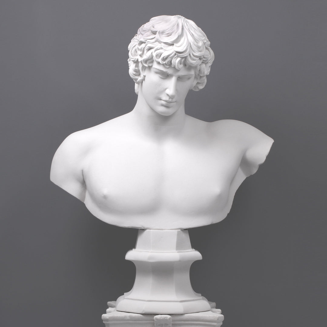 Antinous Bueste (Gross)