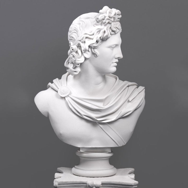 Apollo Belvedere Bueste (Gross)