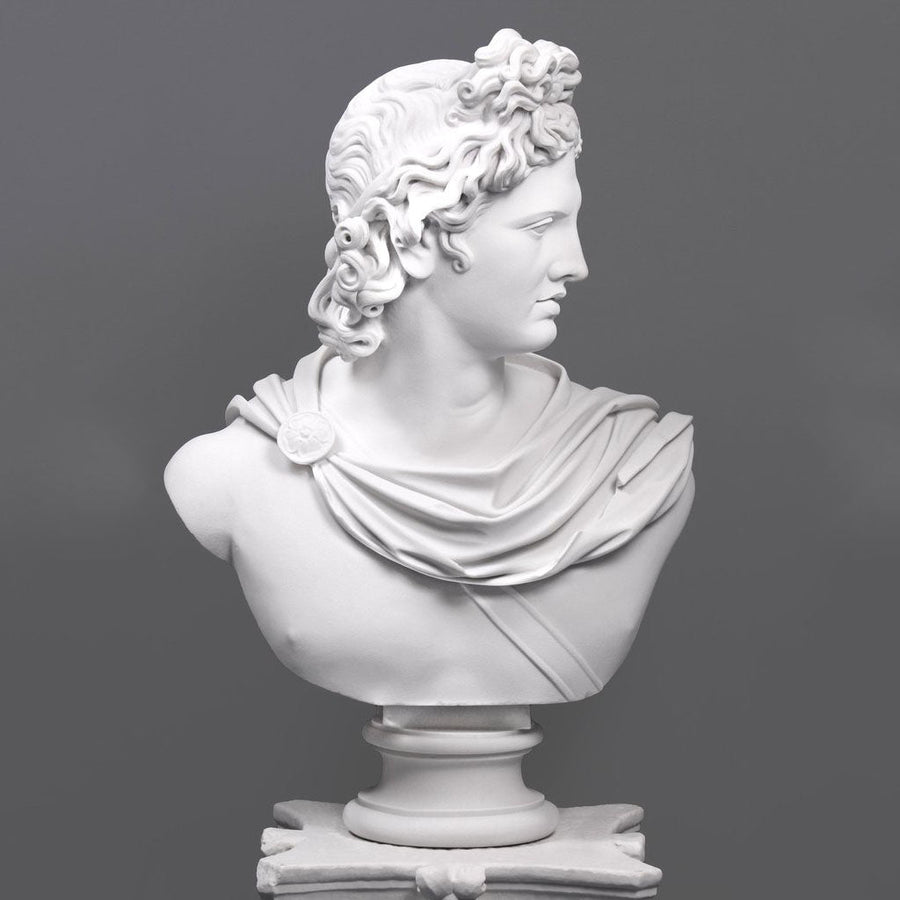 Apollo Belvedere Bueste (Gross)