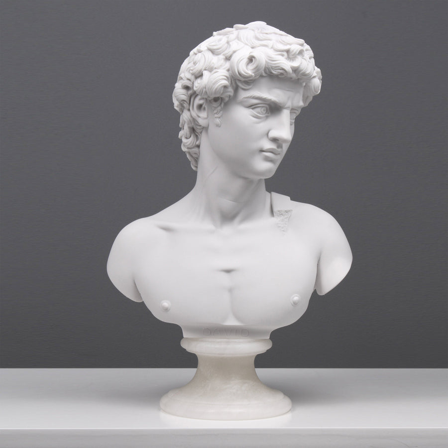 Büste von Michelangelos David Statue