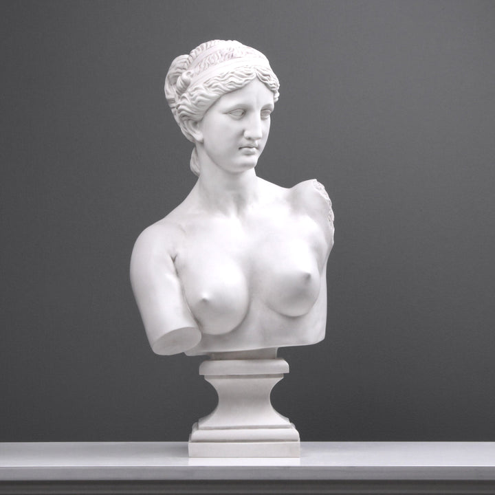 Aphrodite Büste modern