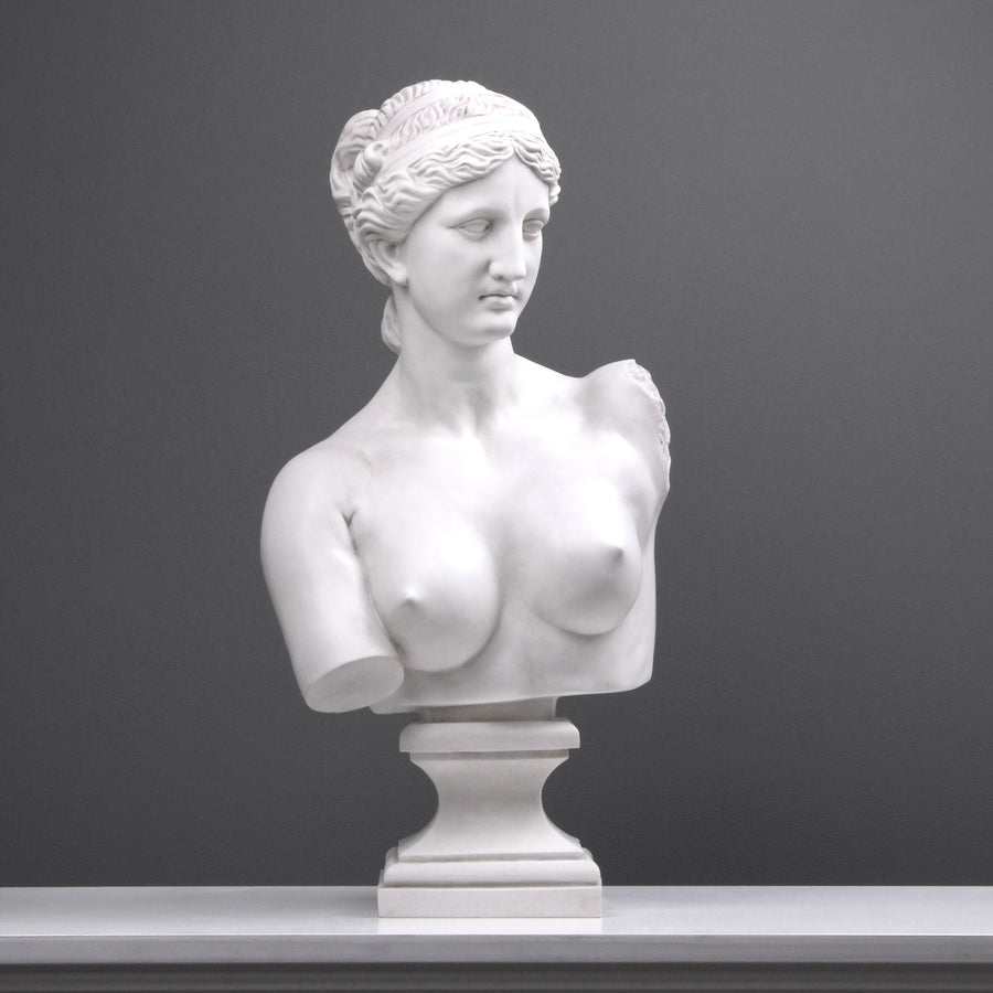 Aphrodite Büste modern
