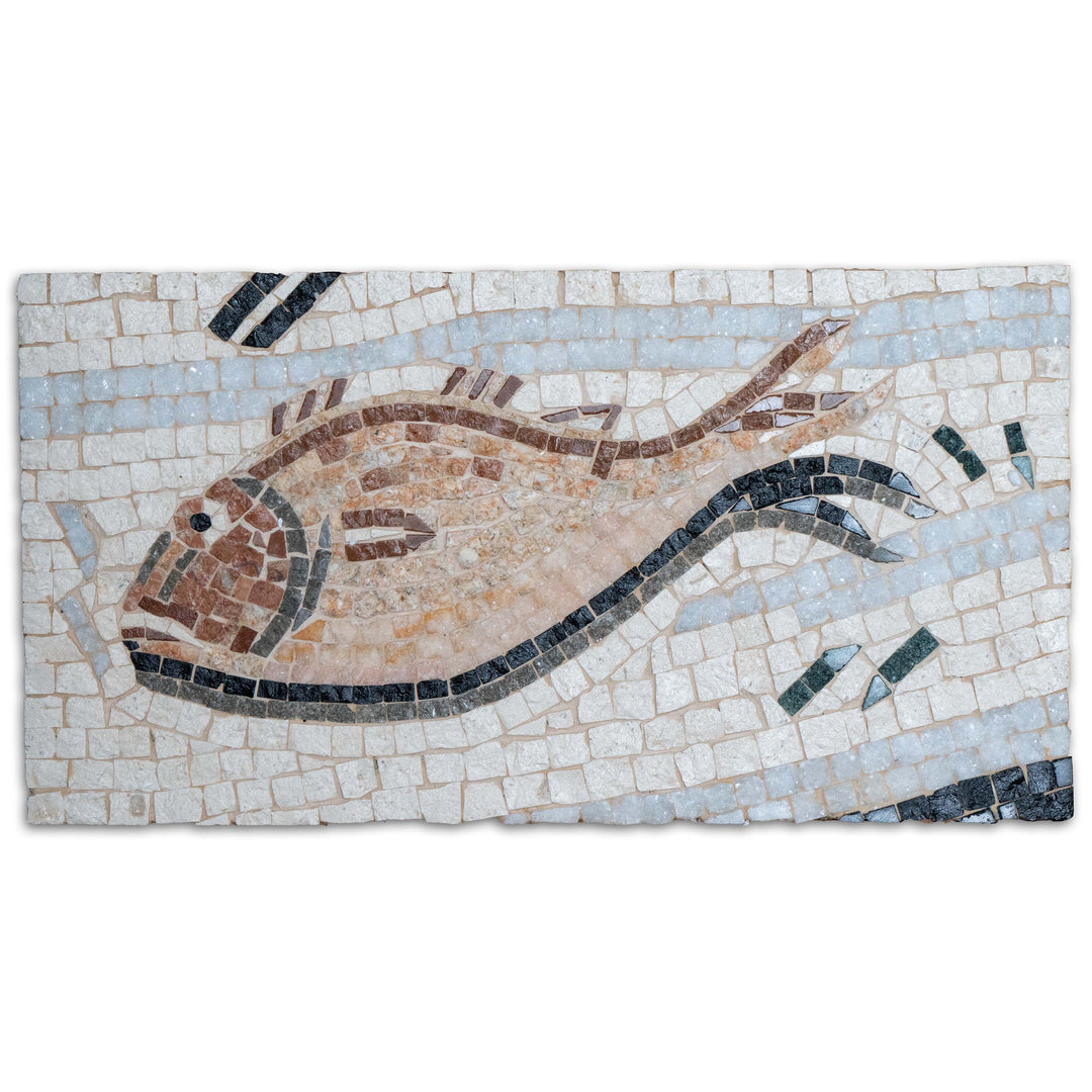 Fisch Impluvium Marmor-Mosaik