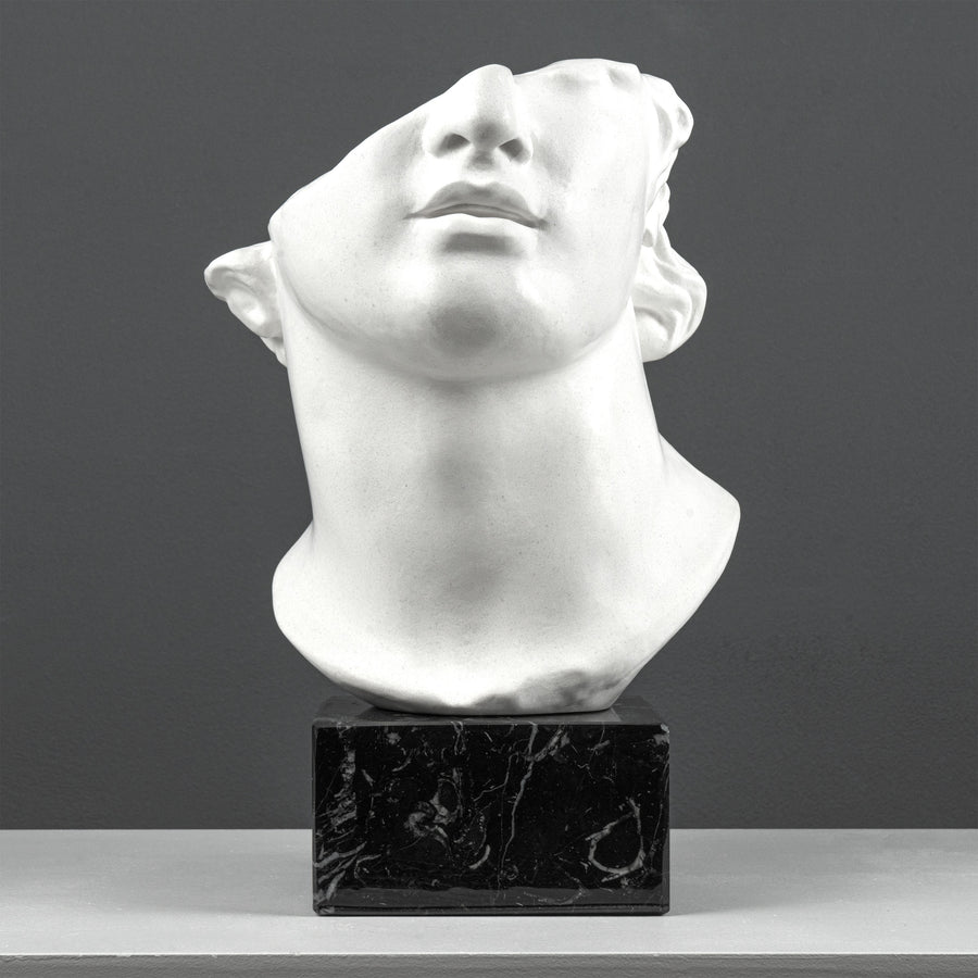 Apollo Bustenfragment Skulptur auf Schwarzem Marmorsockel (Kolossaler Kopf eines Jünglings)