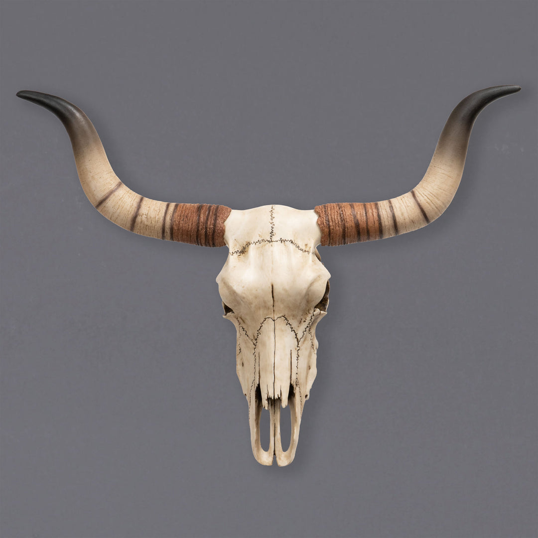 Longhorn-Rinderschädel Wandskulptur (Kunstharz-Statue)