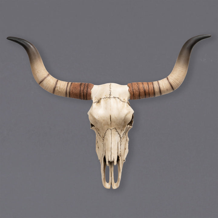 Longhorn-Rinderschädel Wandskulptur (Kunstharz-Statue)