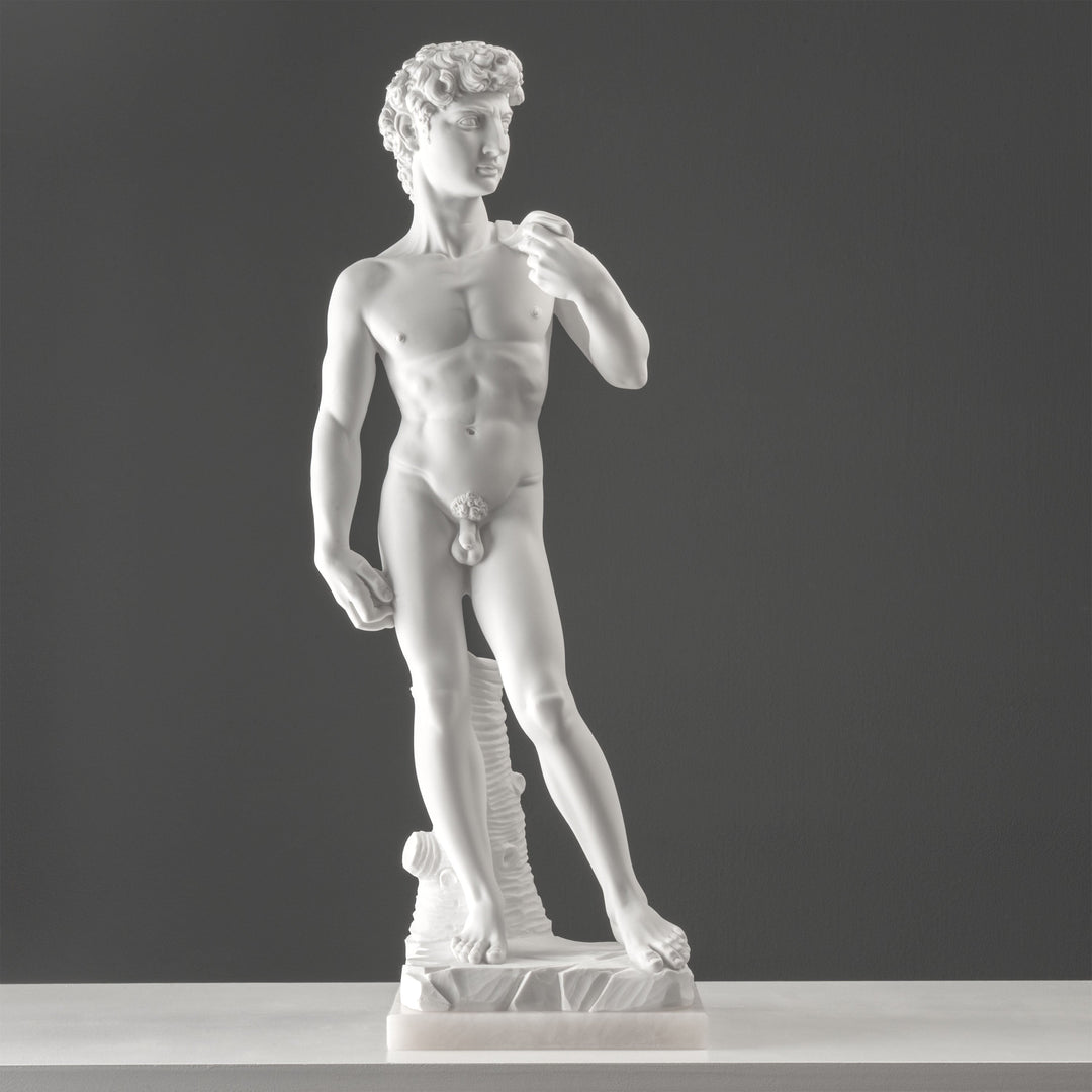 Michelangelos David Statue (Gross)