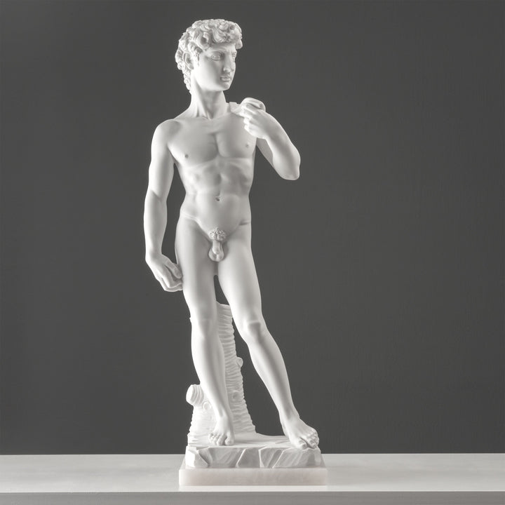 Michelangelos David Statue (Gross)