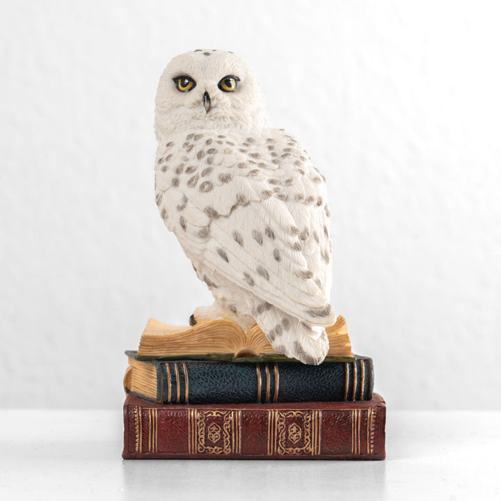 Schneeeule auf einem Bücherstapel (Kunstharz-Statue)