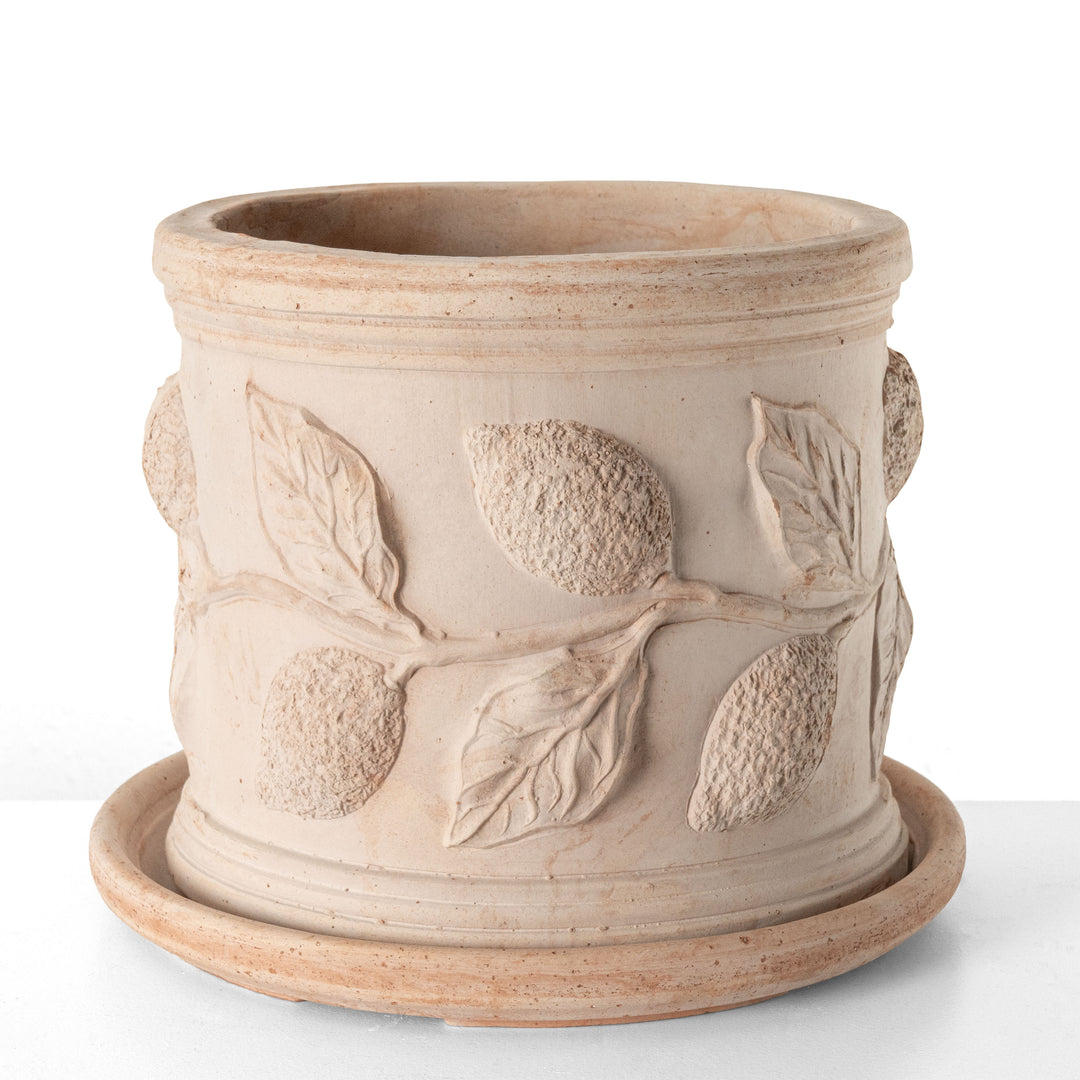 Terrakotta Pflanzkubel mit Zitronenzweig Relief (Zylindrisch)