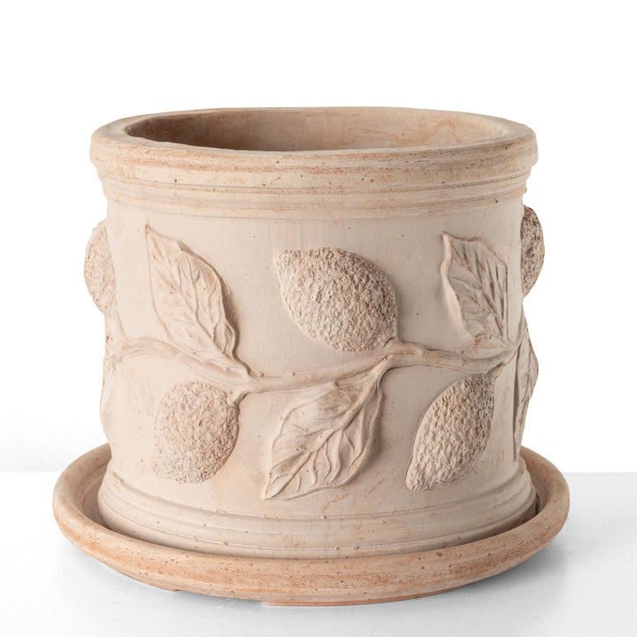 Terrakotta Pflanzkubel mit Zitronenzweig Relief (Zylindrisch)