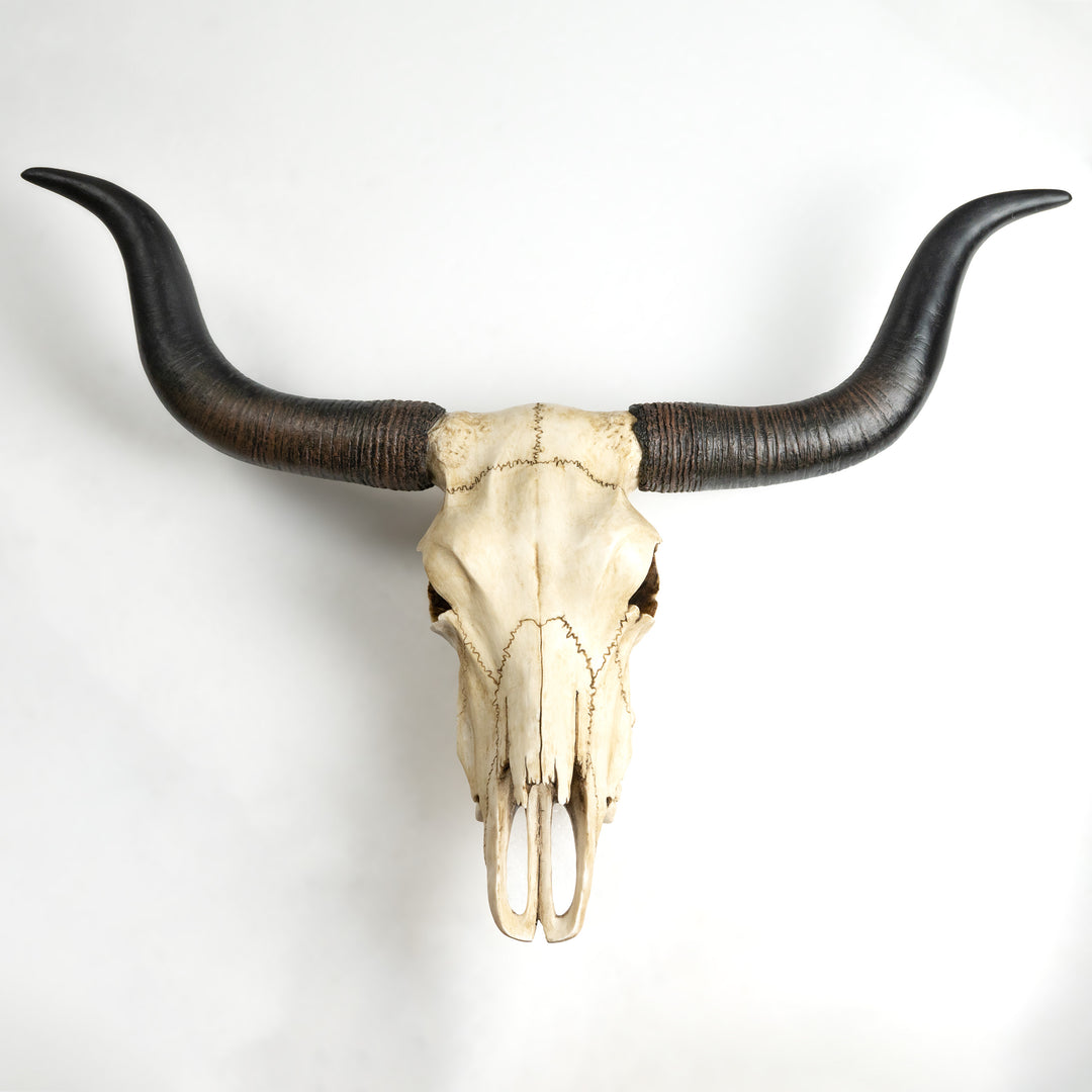 Longhorn Schädel Wandrelief (Harz Skulptur)