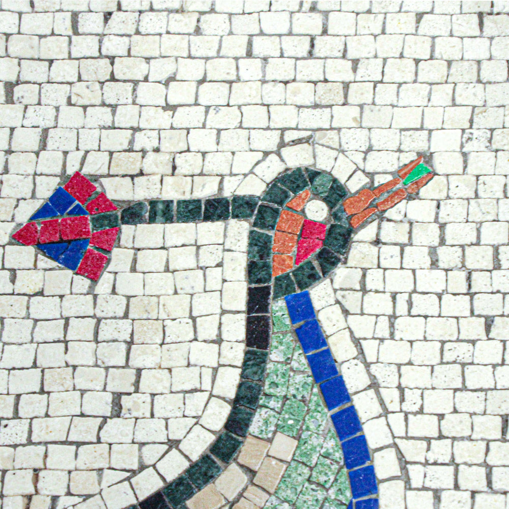 Fasan aus dem Haus der Vögel Marmor-Mosaik