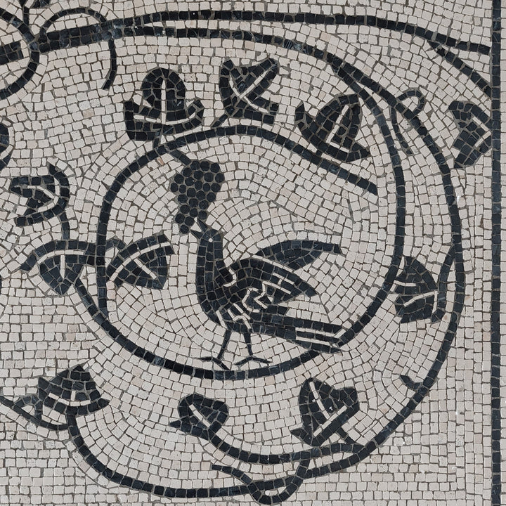 Reben im Krater Marmor-Mosaik