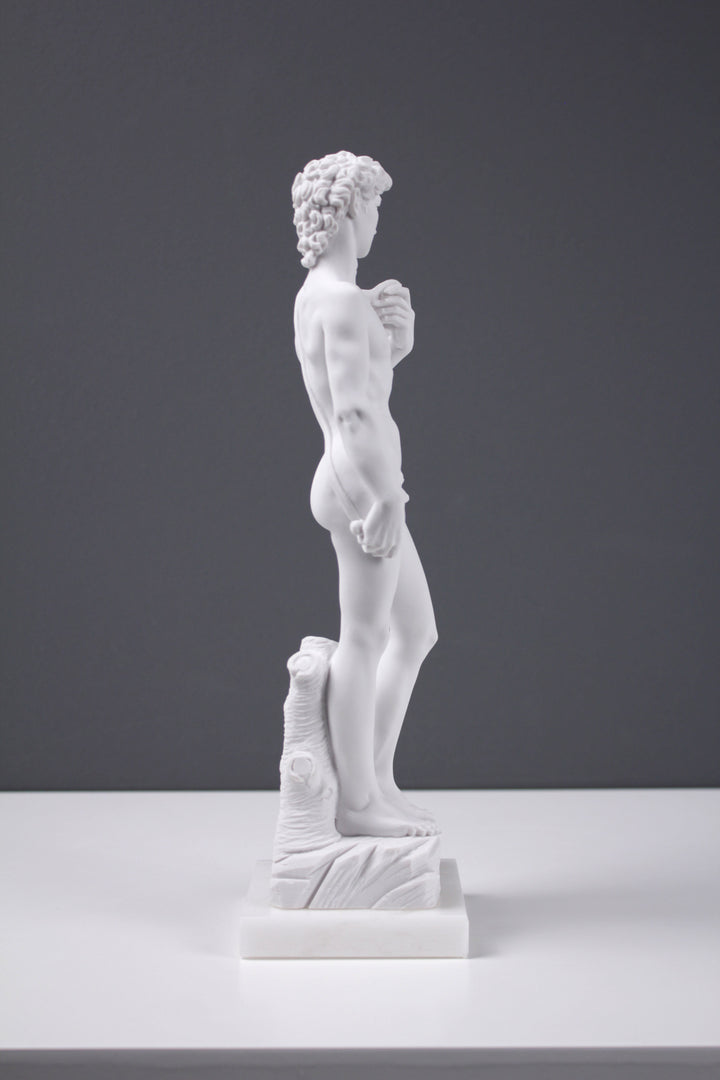 Michelangelo David Statue