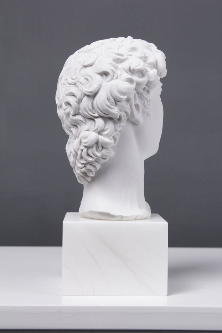 David Büste (Von Michelangelo)