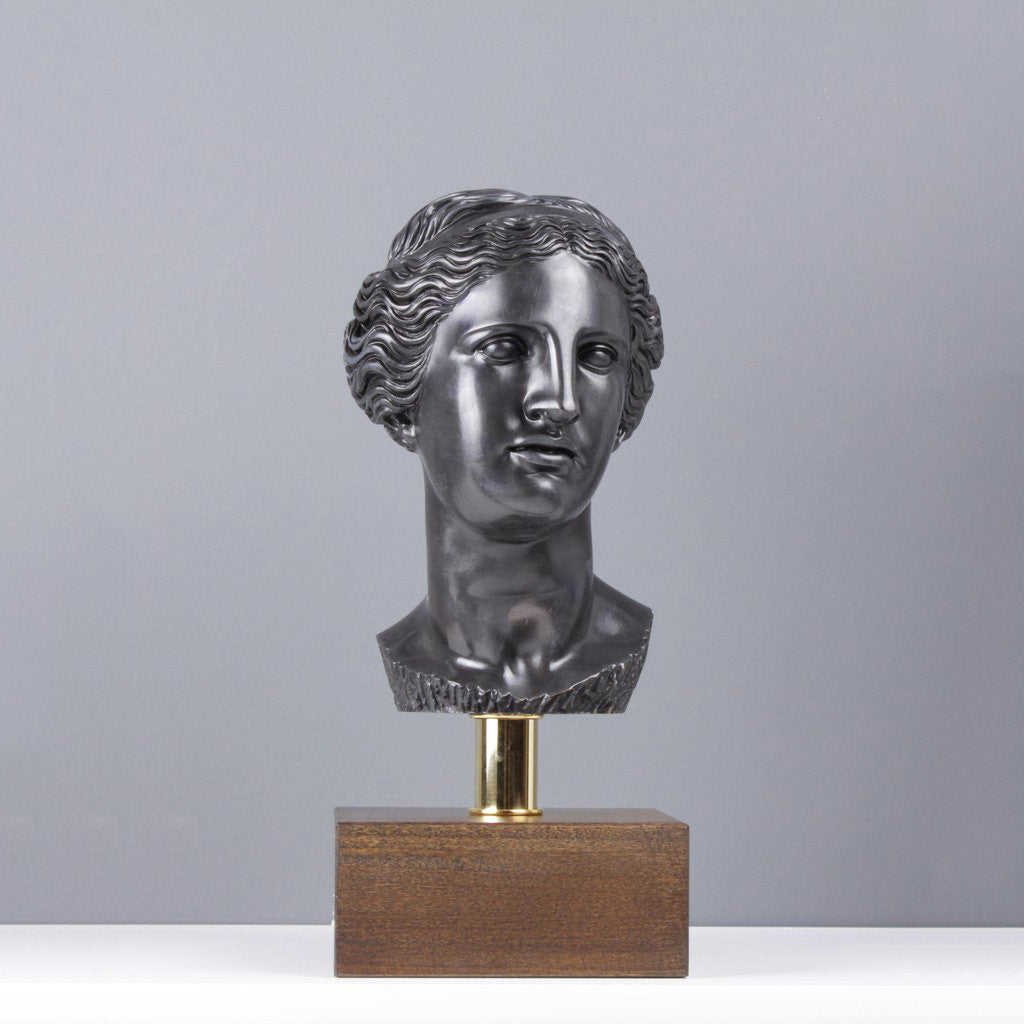 Büste der Aphrodite - Olympische Gott (Bronze)