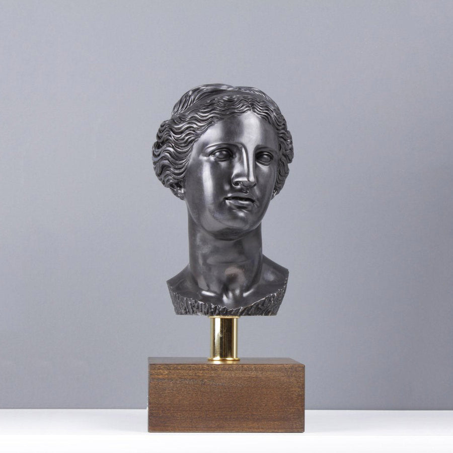 Büste der Aphrodite - Olympische Gott (Bronze)