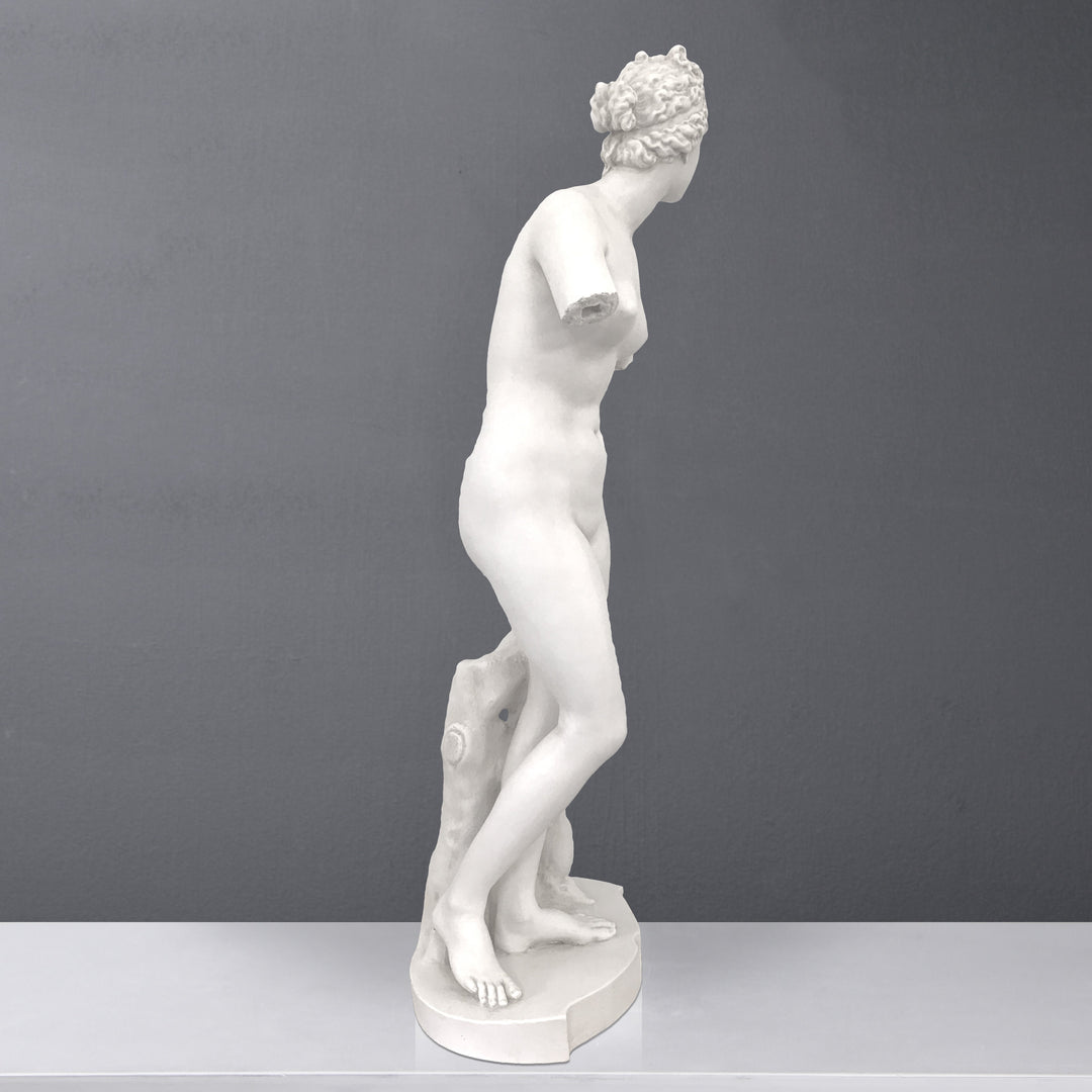 Venus de Medici Lebensgrosse Statue (Gross)