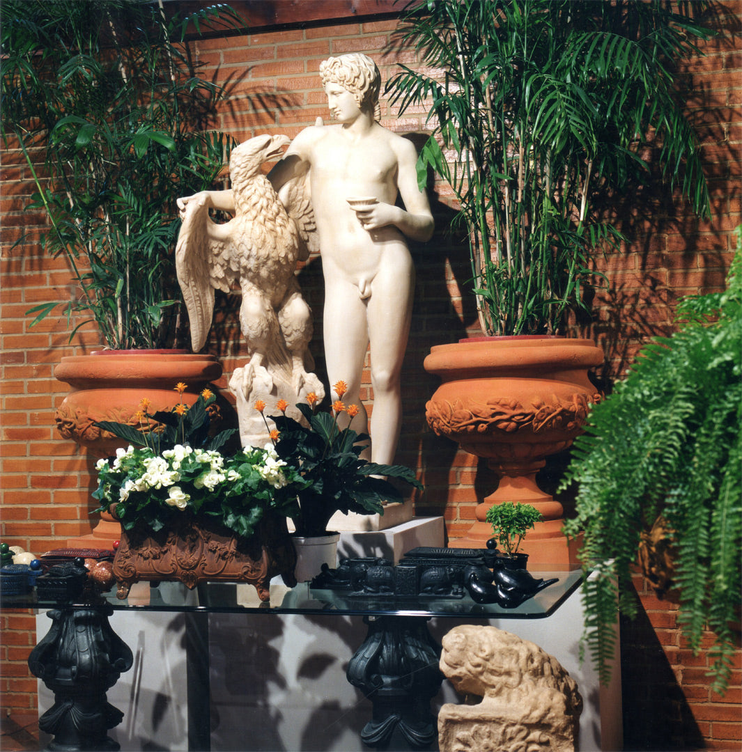 Gartengefaess mit Blaettern