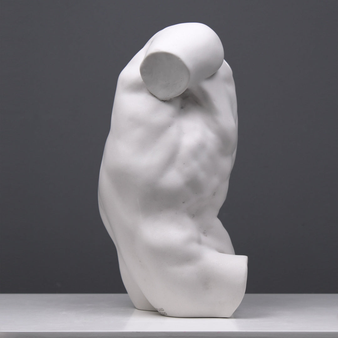 Männlicher Torso Statue (Studie)