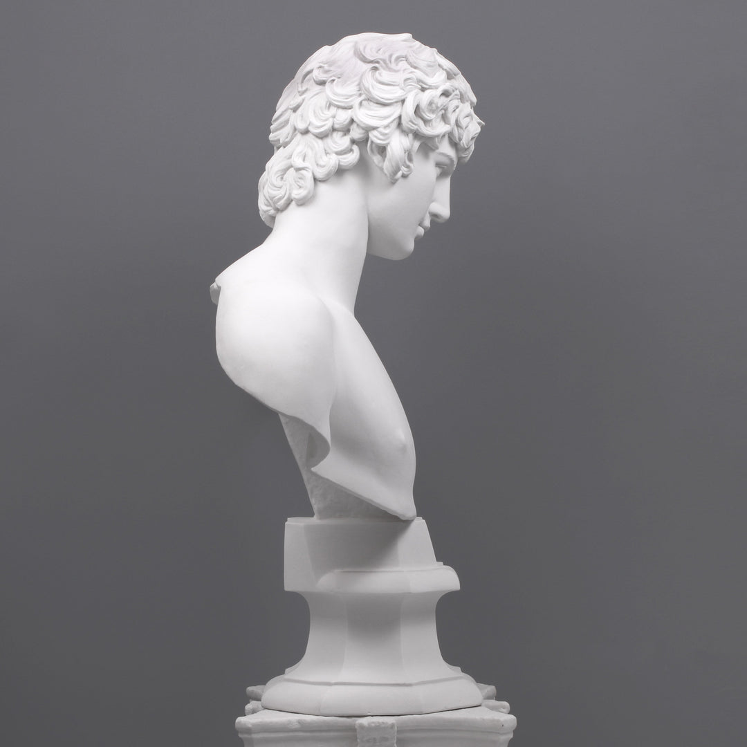 Antinous Bueste (Gross)