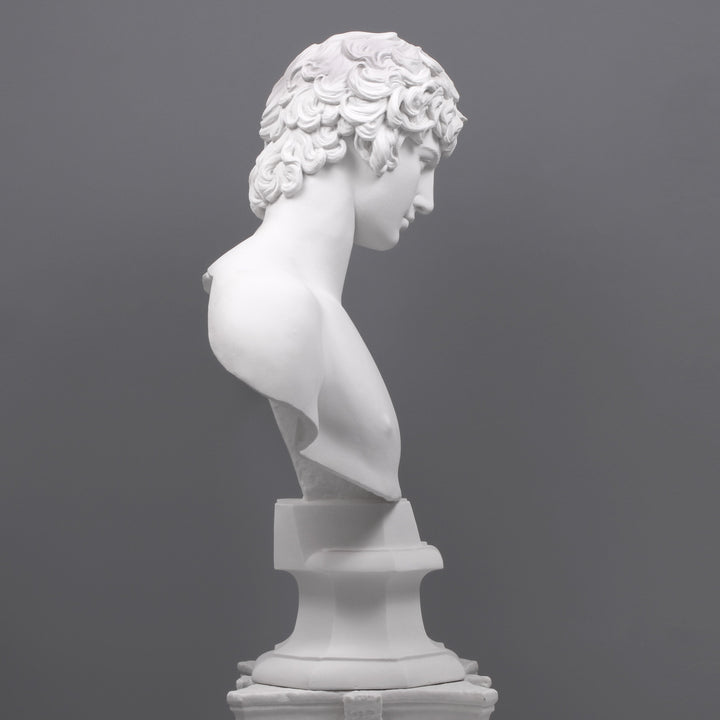 Antinous Bueste (Gross)